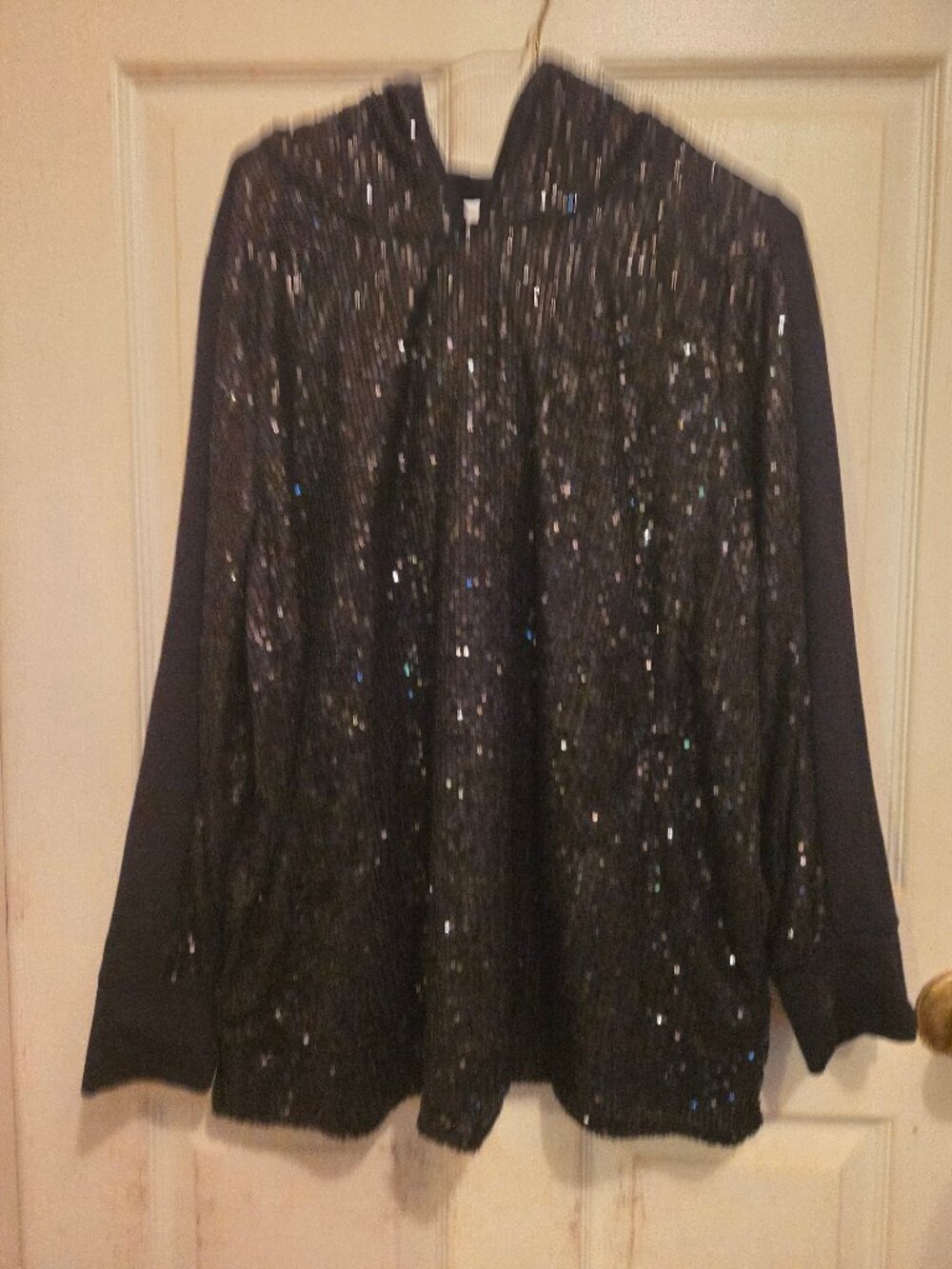 Belle by Kim Gravel Sequin Hooded Pullover WITH HOOD 1X